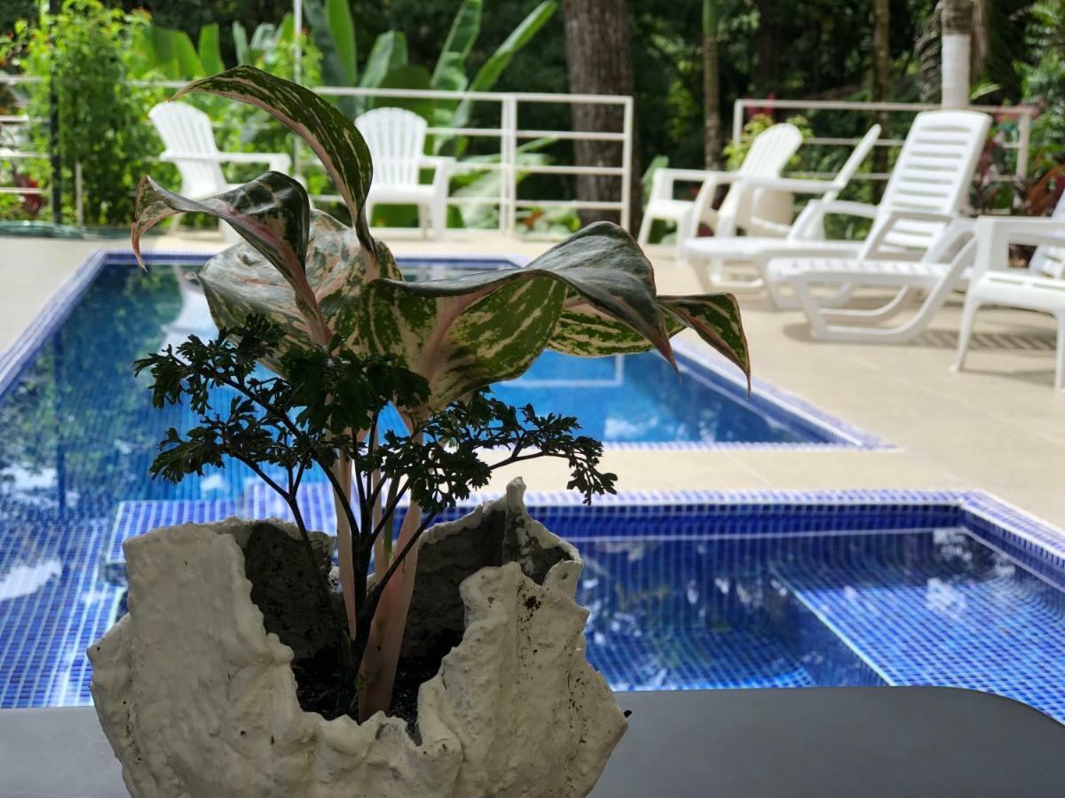 Ballena Dorada Lodge Uvita Exterior photo